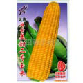 河南自動顆粒稱重包裝機(jī)(圖4)